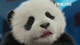 青春禁区